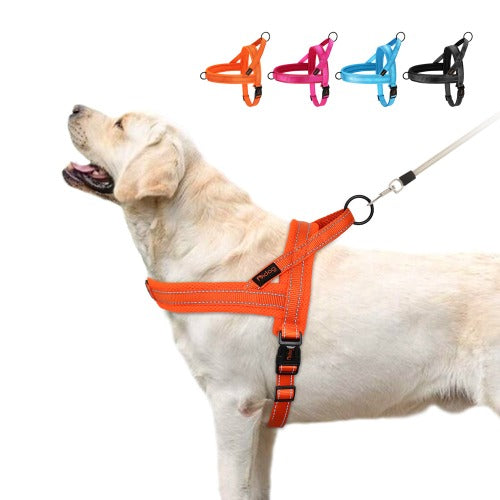 Basic myk hundesele i nylon med refleks i 4 farger XS-L