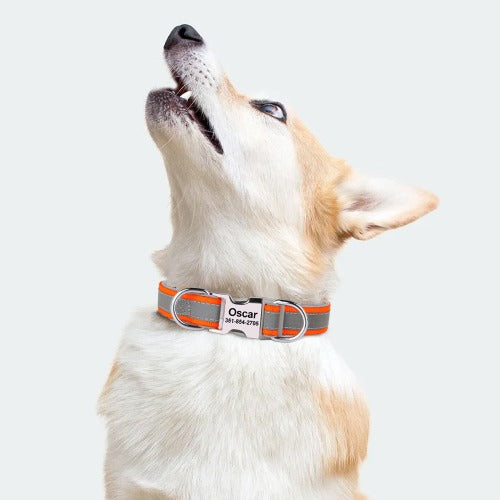 Fullt refleks mykt hundehalsbånd med hundens navn i 3 farger S-L
