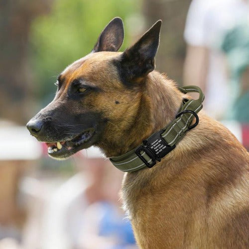 Militært hundehalsbånd med gravert spenne, navn og telefonnummer
