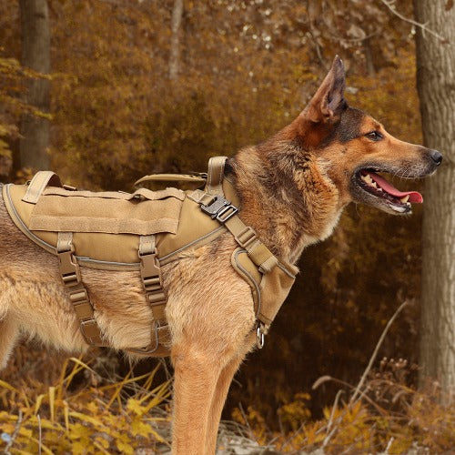 Taktisk militær hundesele med flere håndtak 2 farger M-L