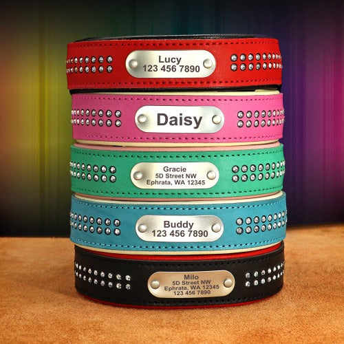 Hundehalsbånd med skjulte diamanter og gravert navneplate i 5 farger XS-XL
