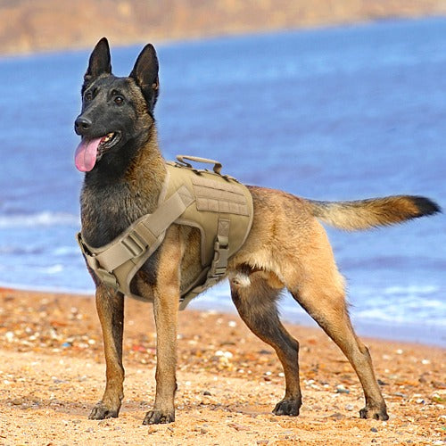 Taktisk hundesele militær hundetreningsvest S-L