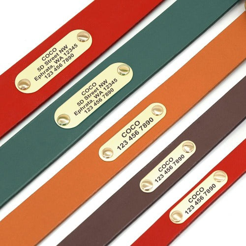 Farget skinn hundehalsbånd med navn i 4 farger S-XXL