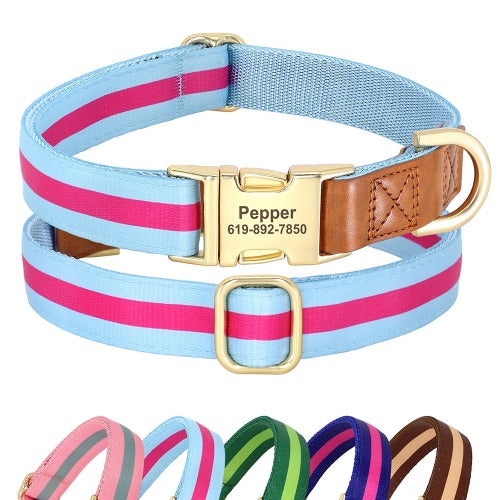 Hundehalsbånd i nylon med inngravert navn og telefonnummer i 5 lyse farger S-L