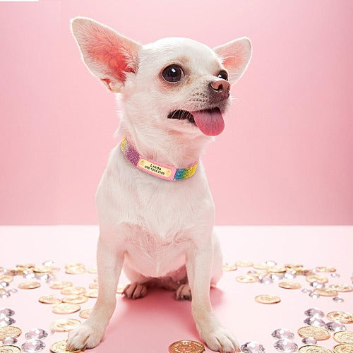 Regnbuekrystall hundehalsbånd i semsket skinn med navneskilt i 5 farger XS-L