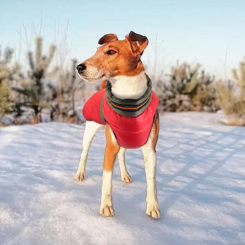 Lett, varm vinterjakke til hund med refleks hals i 2 farger