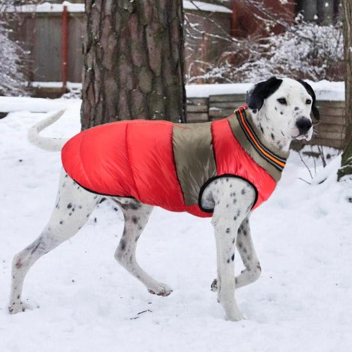 Lett, varm vinterjakke til hund med refleks hals i 2 farger