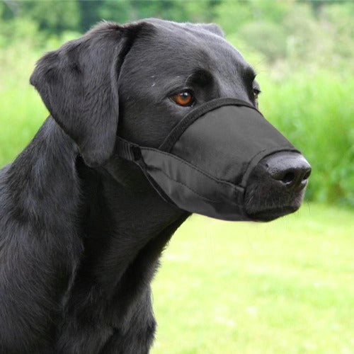 Nylon dog muzzle with plastic buckle in 7 sizes - personalized custom engraved id tag dog cat collar personlig tilpasset gravere hund katt halsbånd 
