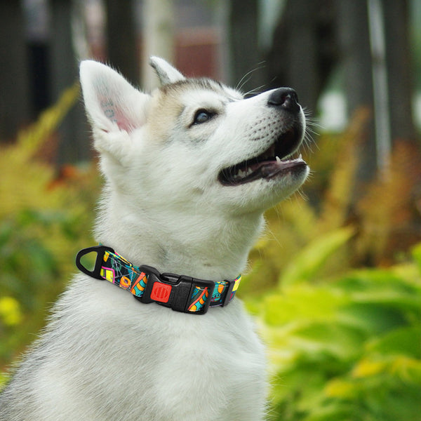 Cool colorful nylon collar with plastic safety buckle S-L - personalized custom engraved id tag dog cat collar personlig tilpasset gravere hund katt halsbånd 