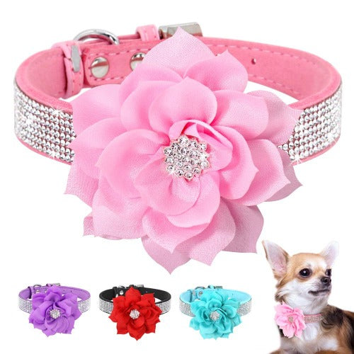 Nydelig rhinestone hundehalsbånd med lys krystallblomst i 4 farger XS-L hundehalsbånd med diamanter