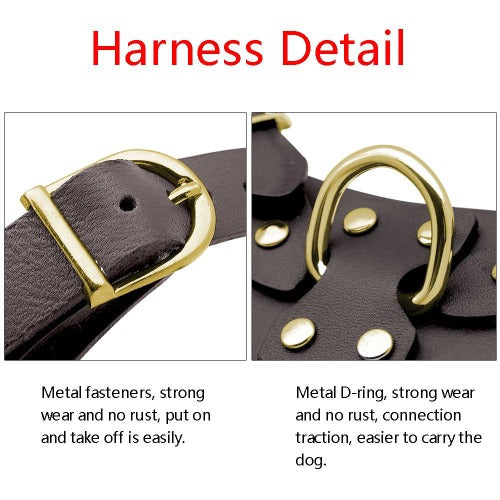 Genuine leather harness set for small dogs - personalized custom engraved id tag dog cat collar personlig tilpasset gravere hund katt halsbånd 