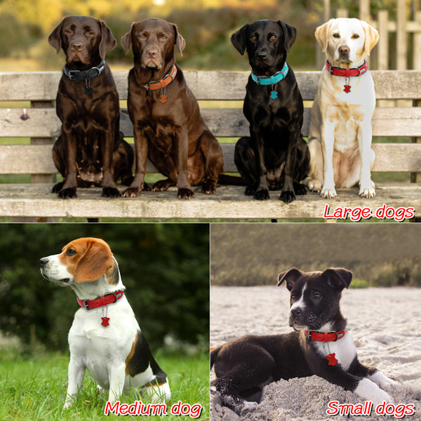 Colored quality genuine leather collar with pendant in 4 colors S-L - personalized custom engraved id tag dog cat collar personlig tilpasset gravere hund katt halsbånd 