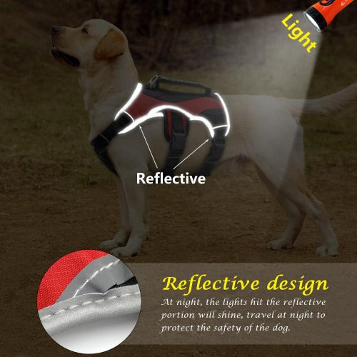 Padded mesh K9 light reflective harness with handle in 2 colors S-XL - personalized custom engraved id tag dog cat collar personlig tilpasset gravere hund katt halsbånd 