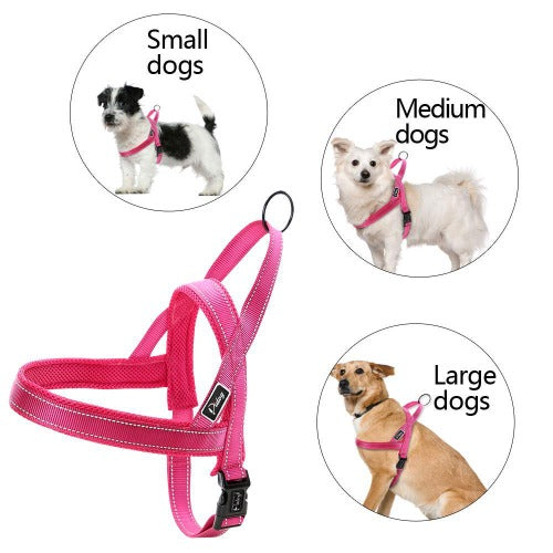 Mesh padded soft ergonomical harness in 4 colors XXS-L - personalized custom engraved id tag dog cat collar personlig tilpasset gravere hund katt halsbånd 