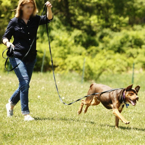 Non-slip nylon long tracking training leash in 2 colors and 3 length - personalized custom engraved id tag dog cat collar personlig tilpasset gravere hund katt halsbånd 