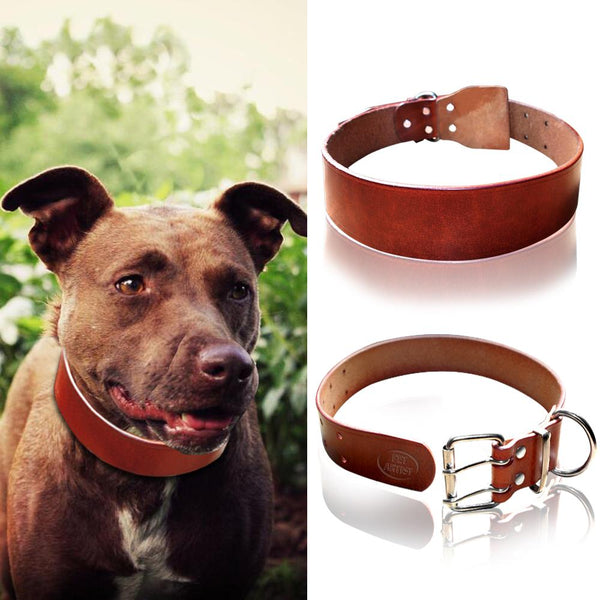 Plain quality leather collar XS-XXL - personalized custom engraved id tag dog cat collar personlig tilpasset gravere hund katt halsbånd 