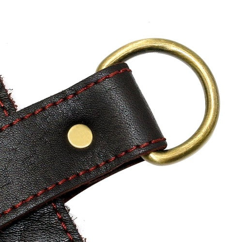 Premium multi attachable genuine leather harness XL - personalized custom engraved id tag dog cat collar personlig tilpasset gravere hund katt halsbånd 