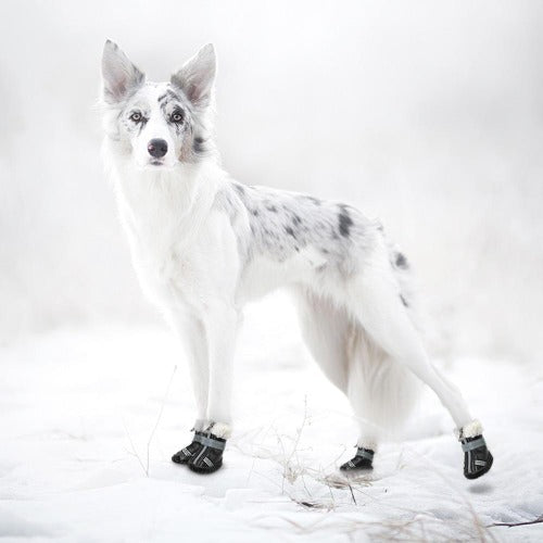 Waterproof reflective nonslip winter boots in 2 colors S-XL - personalized custom engraved id tag dog cat collar personlig tilpasset gravere hund katt halsbånd 