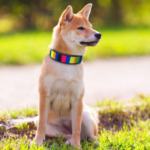 Colorful wide collar in 5 styles S-L - personalized custom engraved id tag dog cat collar personlig tilpasset gravere hund katt halsbånd 
