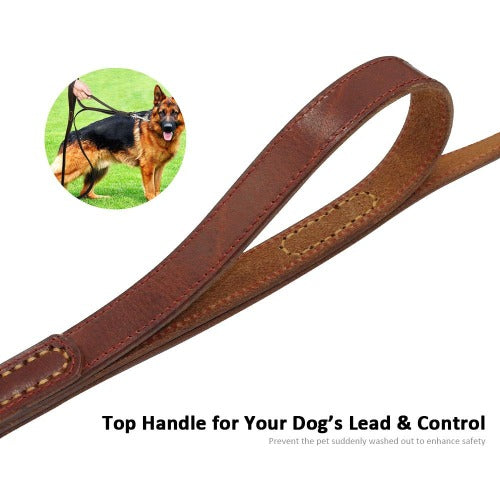 Genuine leather quick control leash with 2 handle in 2 colors - personalized custom engraved id tag dog cat collar personlig tilpasset gravere hund katt halsbånd 