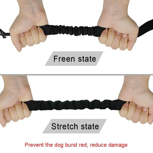 Triple 3 way elastic leash extention - personalized custom engraved id tag dog cat collar personlig tilpasset gravere hund katt halsbånd 