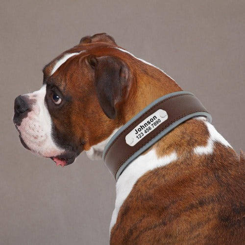 Soft leather collar with light reflective edges and engraved nameplate for large dogs in 2 colors M-XL - personalized custom engraved id tag dog cat collar personlig tilpasset gravere hund katt halsbånd 
