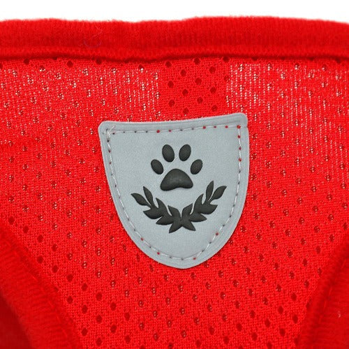Padded mesh light reflective vest harness set with gratis leash in 4 colors S-XL - personalized custom engraved id tag dog cat collar personlig tilpasset gravere hund katt halsbånd 