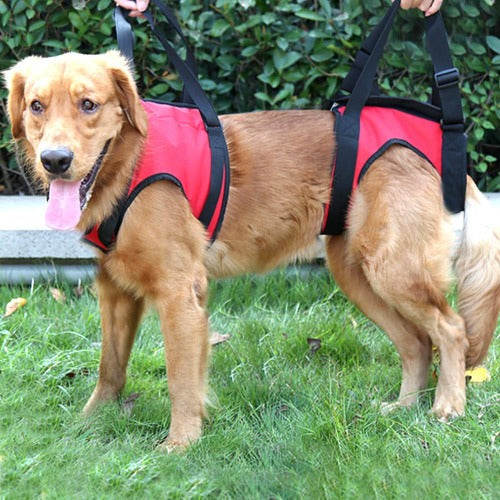 Dog assistance carrier harness support for sick elderly dogs S-L - personalized custom engraved id tag dog cat collar personlig tilpasset gravere hund katt halsbånd 