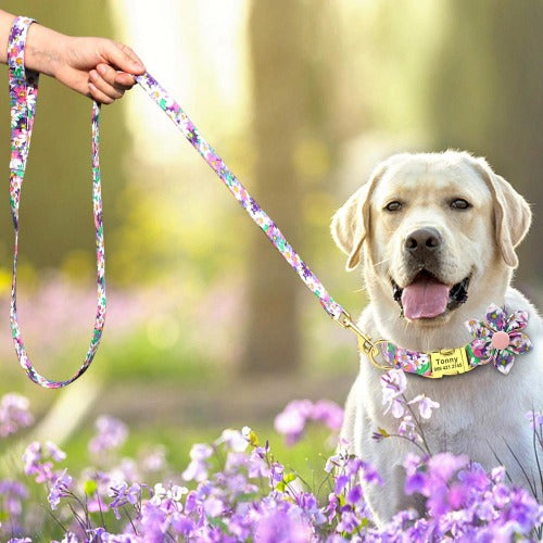 Vakkert blomstertrykket navnehalsbånd for hunder i 3 farger