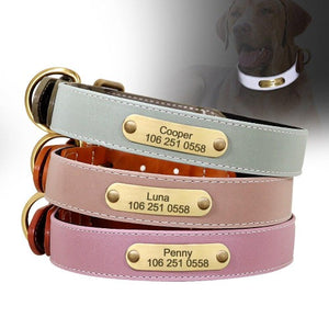 Full refleks pastell lær halsbånd med gravert navneskilt i 3 farger S-XXL navneskilt til hundehalsbånd