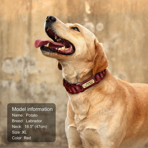 Flettet skinnhalsbånd med gravert navneskilt for stor hund i 2 farger L-XL