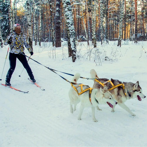 Hunde trekksele, dragsele i 3 farger M-3XL