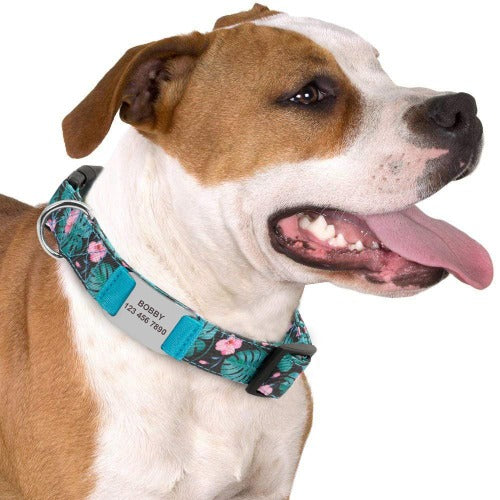 Pastellblomst hundehalsbånd med utskiftbar inngravert navneskilt i 4 farger S-L