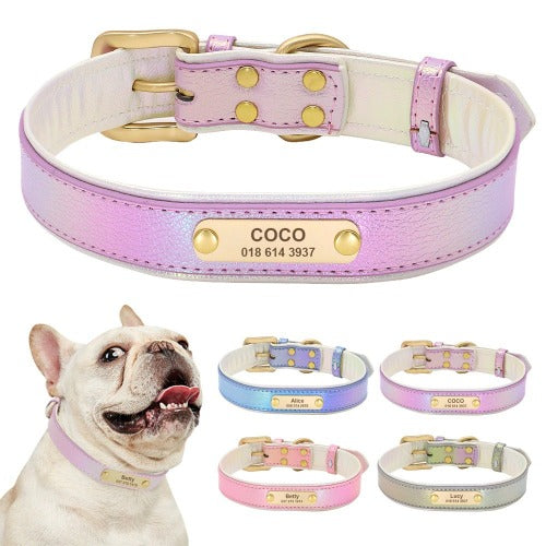 Hundehalsbånd i perleskinn med gravert navneskilt i 4 farger XS-XL