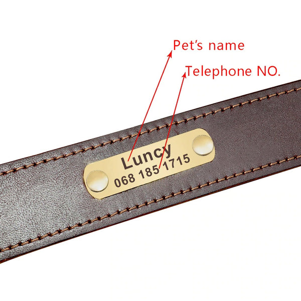 Høy kvalitet slitesterk lær halsbånd med håndtak og tilpasset gravert navneplate i 2 farger M-XL