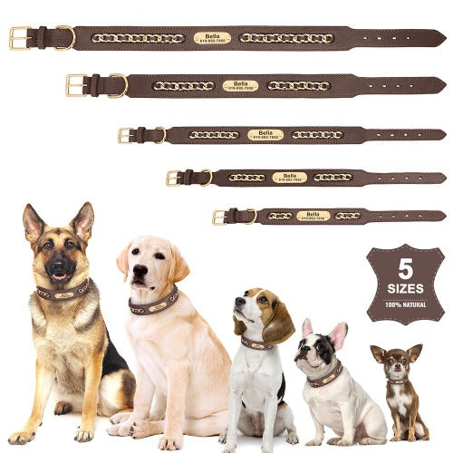 Hundehalsbånd i skinn dekorert med kjede og gravert navneskilt i 3 farger S-XXL