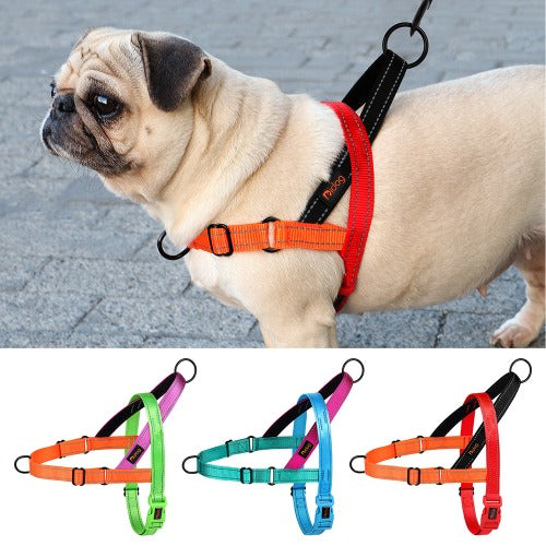 Pen fargerik hundesele i refleks nylon S-L